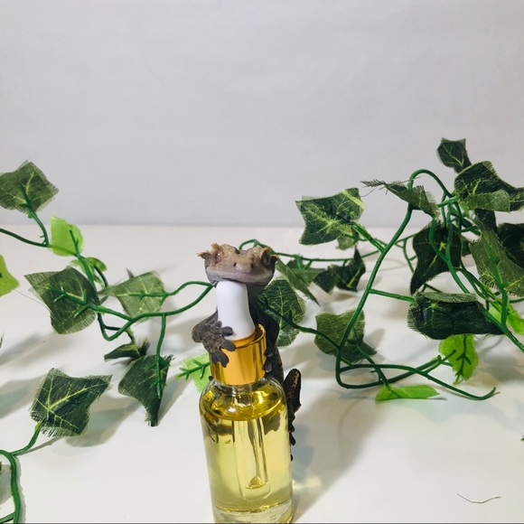 Switch - Picture 2 of 2